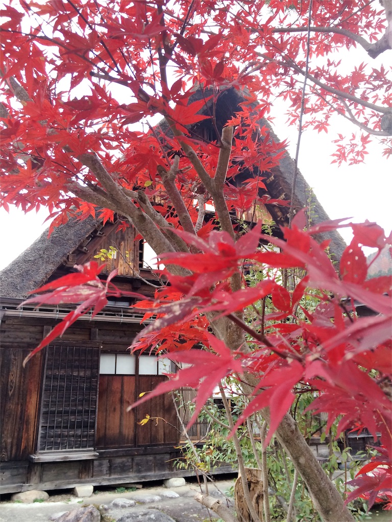 f:id:nishimikawa:20151108205009j:image f:id:nishimikawa:20151108205009j:image