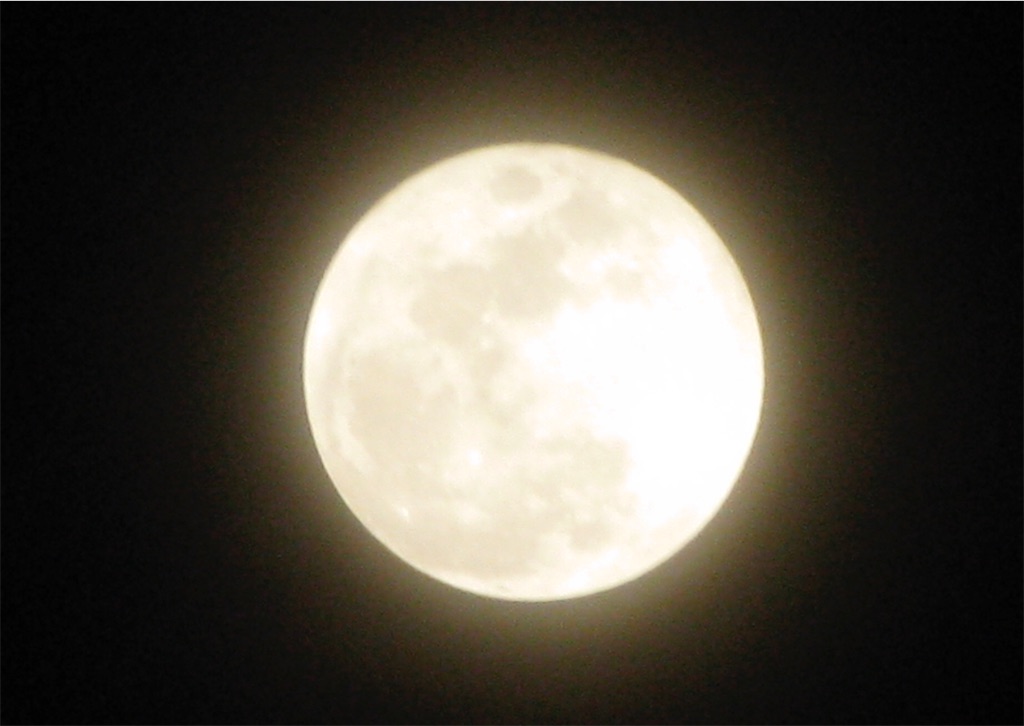 f:id:nishimikawa:20151216082135j:image f:id:nishimikawa:20151216082135j:image