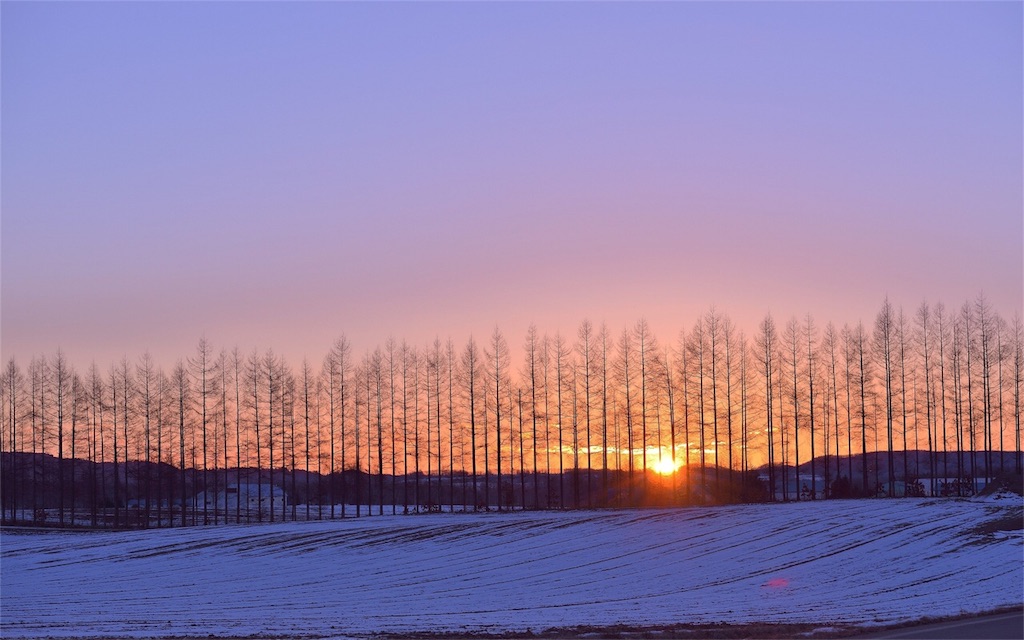 f:id:nishimikawa:20151229000535j:image f:id:nishimikawa:20151229000535j:image