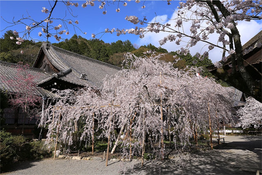 f:id:nishimikawa:20160129045334j:image f:id:nishimikawa:20160129045334j:image