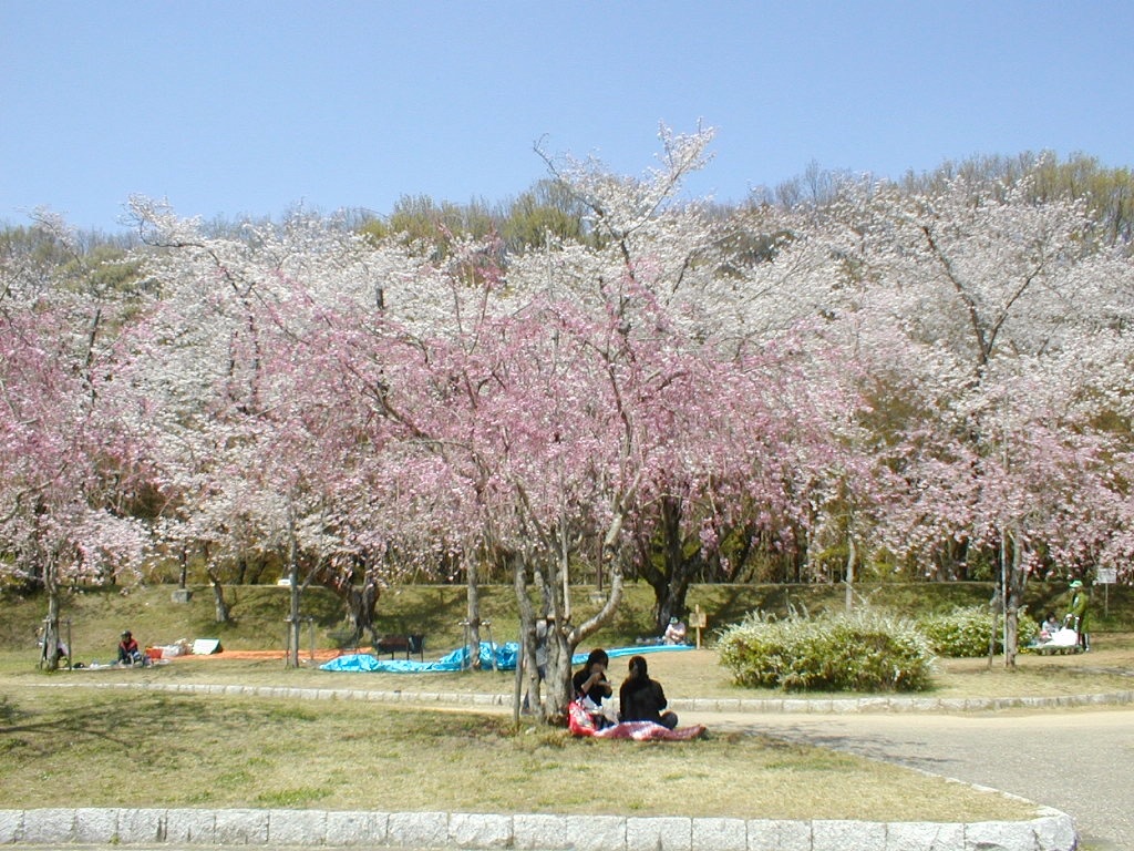 f:id:nishimikawa:20160131082220j:image f:id:nishimikawa:20160131082220j:image