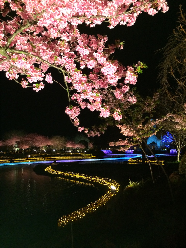 f:id:nishimikawa:20160313083217j:image f:id:nishimikawa:20160313083217j:image
