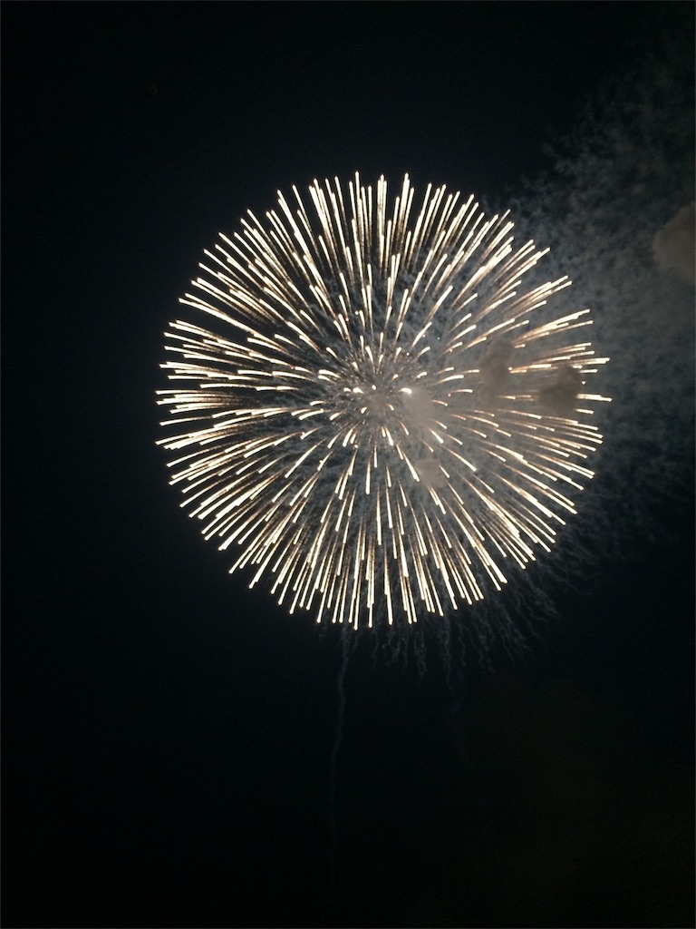 f:id:nishimikawa:20160526173258j:image f:id:nishimikawa:20160526173258j:image