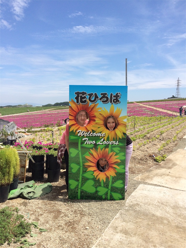 f:id:nishimikawa:20160606073247j:image f:id:nishimikawa:20160606073247j:image