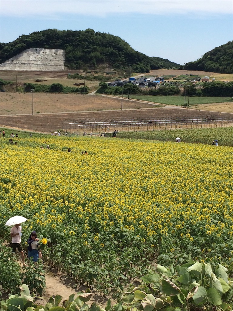 f:id:nishimikawa:20160606102000j:image f:id:nishimikawa:20160606102000j:image