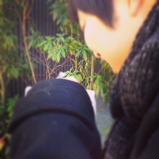 f:id:nishiogifufu:20140113190926j:plain f:id:nishiogifufu:20140113190926j:plain