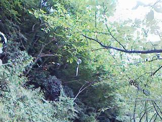 f:id:nitar:20080816113937j:image f:id:nitar:20080816113937j:image