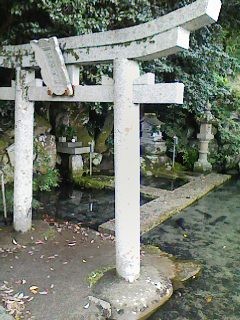 f:id:nitar:20080816114406j:image f:id:nitar:20080816114406j:image