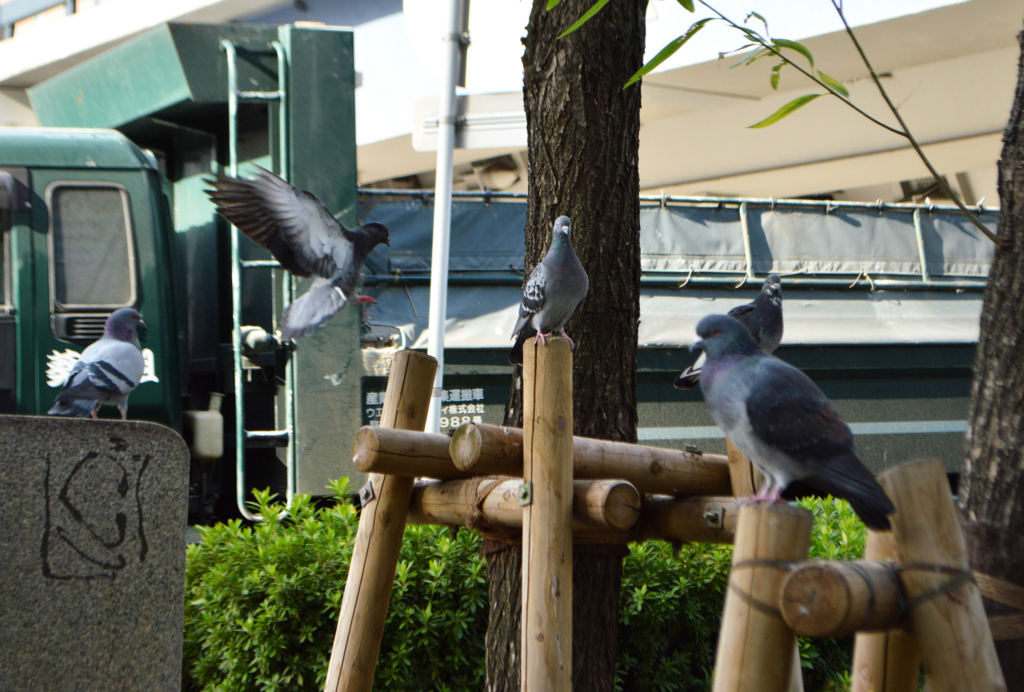 f:id:nitibotsu_to:20151217132713j:plain f:id:nitibotsu_to:20151217132713j:plain