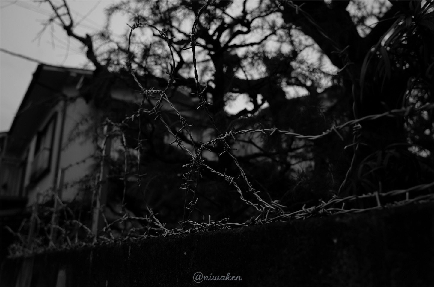 f:id:niwaken:20160123220712j:image