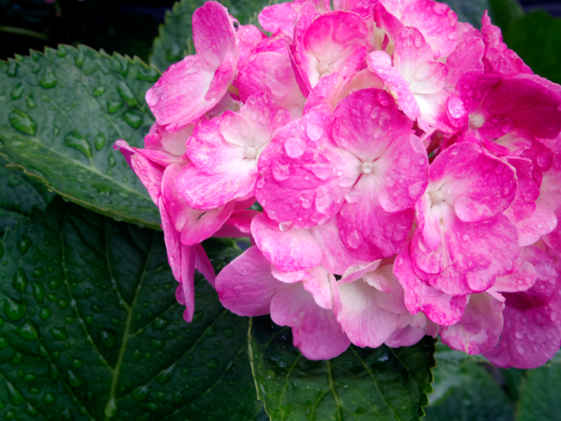 f:id:nkjm24:20140630235647p:plain f:id:nkjm24:20140630235647p:plain