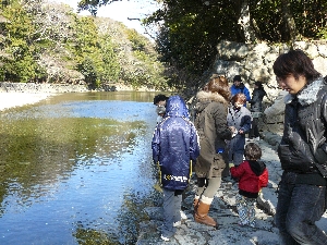 f:id:nmomose:20100111193449j:image:right