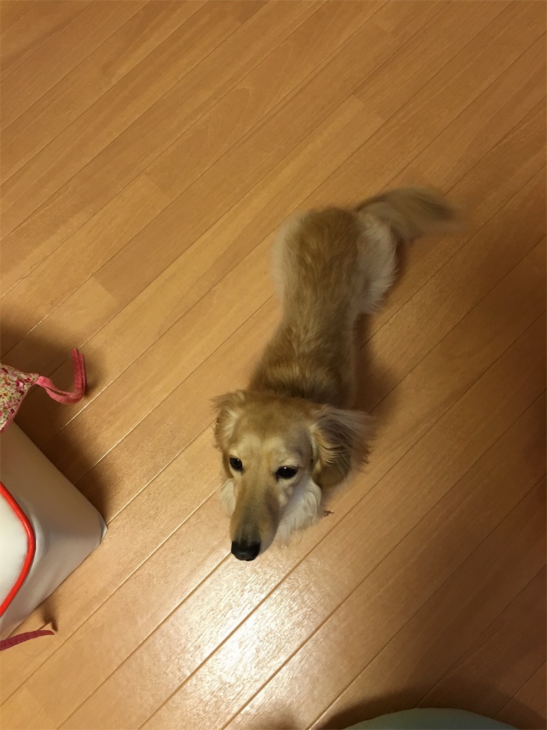 f:id:nmomotan:20160305194123j:image f:id:nmomotan:20160305194123j:image