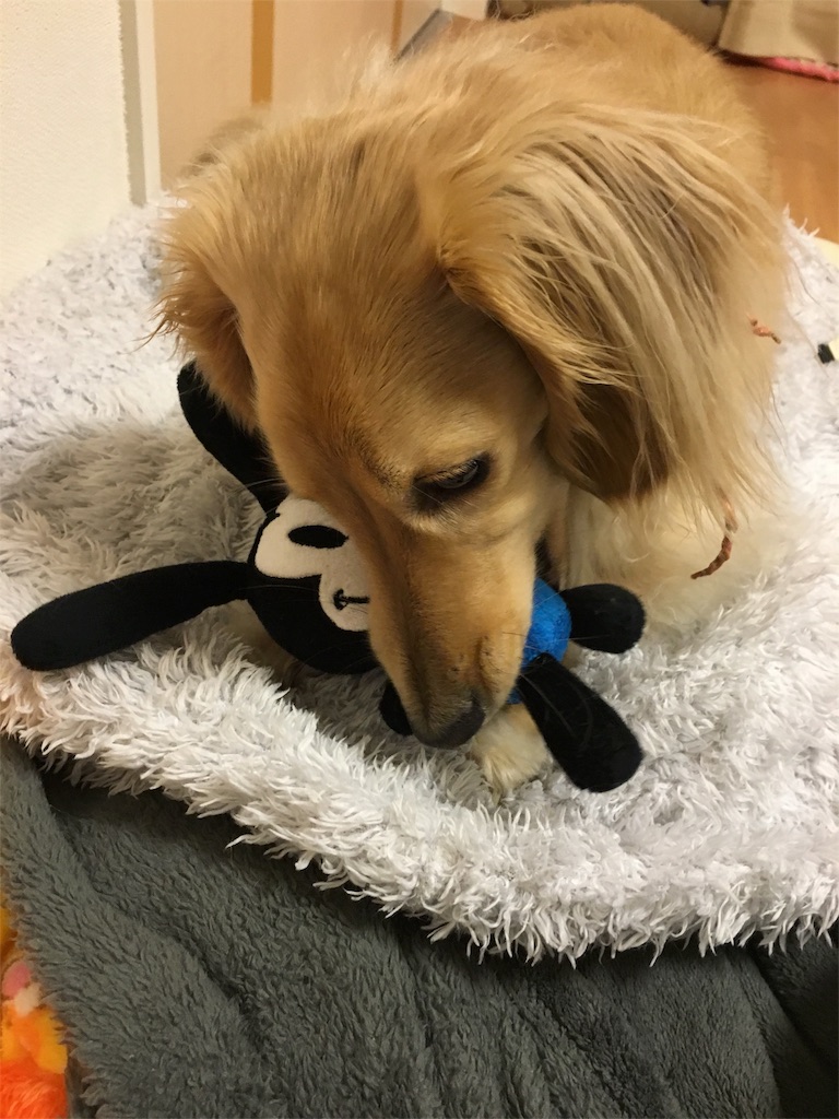 f:id:nmomotan:20160413233924j:image