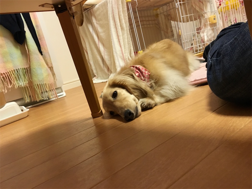 f:id:nmomotan:20160416125331j:image