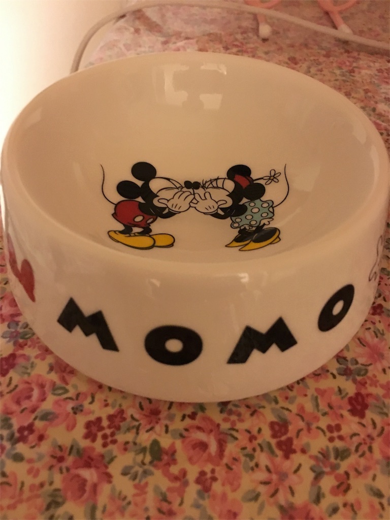 f:id:nmomotan:20160430173212j:image