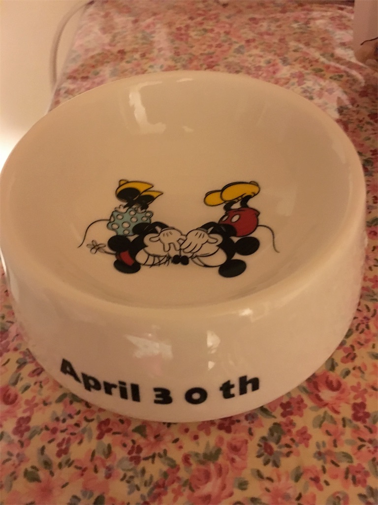 f:id:nmomotan:20160430173220j:image