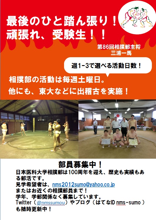 f:id:nms_sumo:20150211195211j:plain