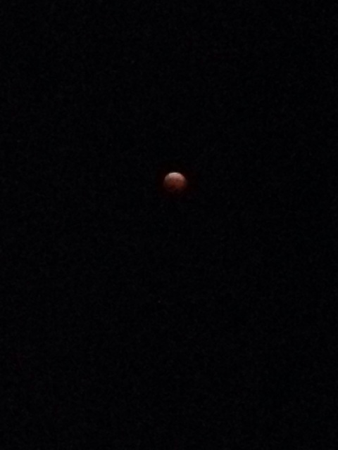 f:id:nnhmnsy:20141009220551j:plain f:id:nnhmnsy:20141009220551j:plain