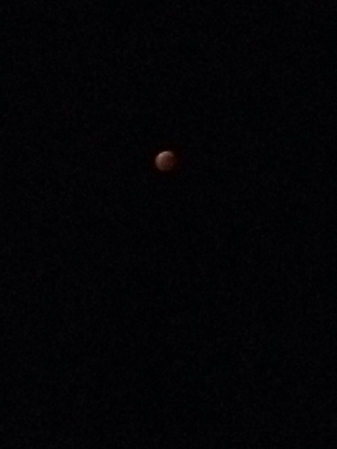 f:id:nnhmnsy:20141009220607j:plain f:id:nnhmnsy:20141009220607j:plain