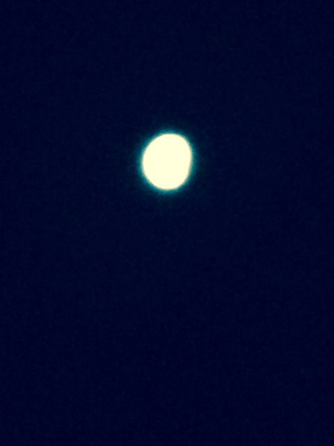 f:id:nnhmnsy:20141009220706j:plain f:id:nnhmnsy:20141009220706j:plain
