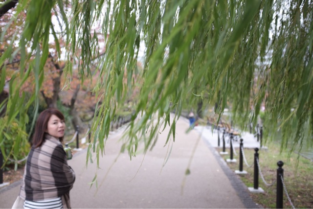 f:id:nnnaoki84:20141118120554j:plain f:id:nnnaoki84:20141118120554j:plain