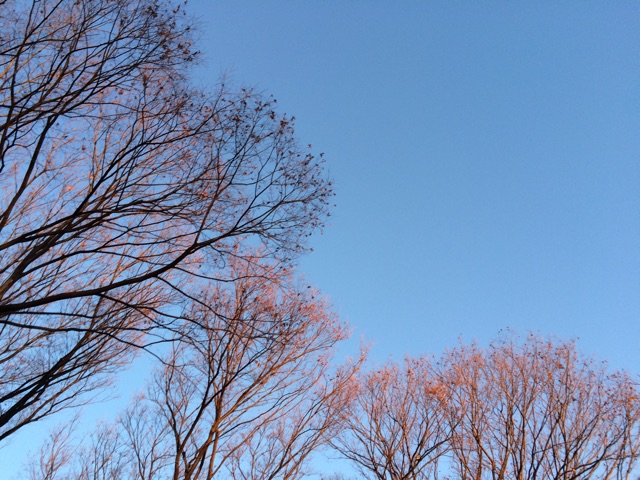 f:id:nnnaoki84:20150102093328j:plain f:id:nnnaoki84:20150102093328j:plain