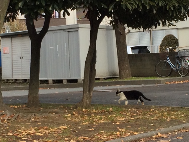 f:id:nnnaoki84:20150104102027j:plain f:id:nnnaoki84:20150104102027j:plain