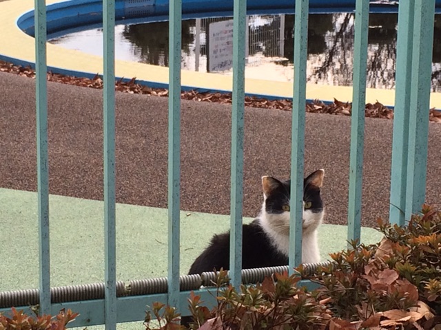 f:id:nnnaoki84:20150104102402j:plain f:id:nnnaoki84:20150104102402j:plain