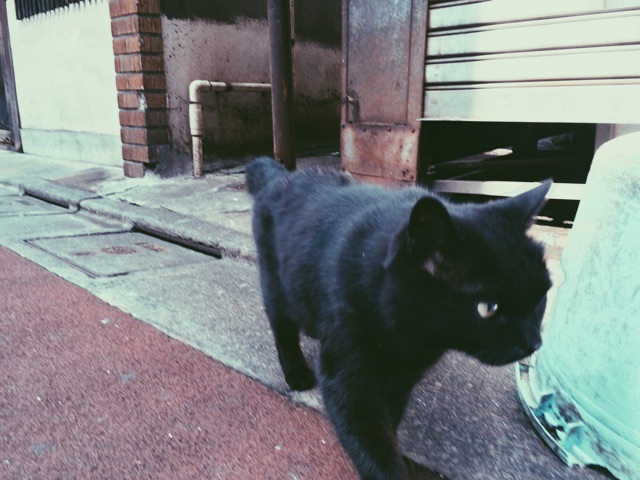f:id:nnnaoki84:20150319200652j:plain f:id:nnnaoki84:20150319200652j:plain