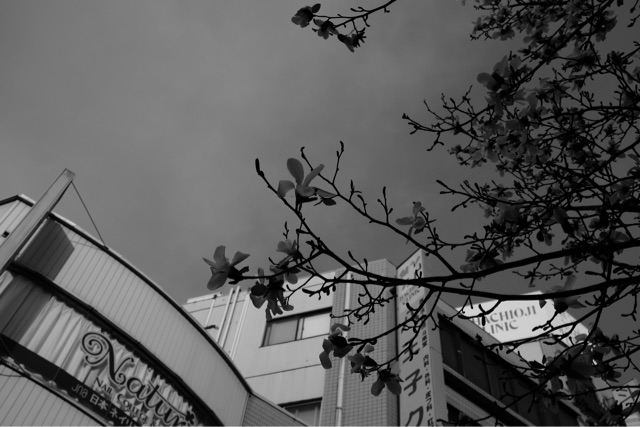 f:id:nnnaoki84:20150322214503j:plain f:id:nnnaoki84:20150322214503j:plain