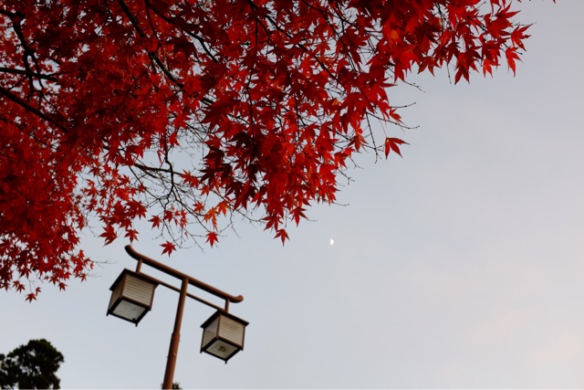 f:id:nnnaoki84:20150325124603j:plain f:id:nnnaoki84:20150325124603j:plain