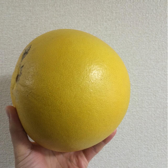 f:id:nnnaoki84:20150327070518j:plain f:id:nnnaoki84:20150327070518j:plain