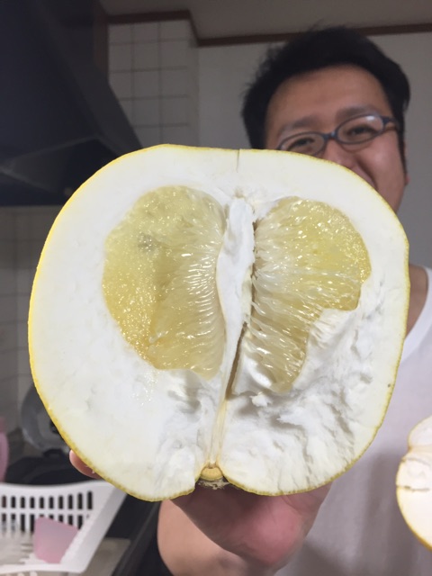 f:id:nnnaoki84:20150327071014j:plain f:id:nnnaoki84:20150327071014j:plain