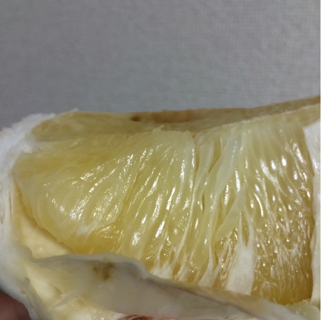 f:id:nnnaoki84:20150327071201j:plain f:id:nnnaoki84:20150327071201j:plain