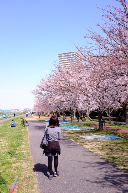 f:id:nnnaoki84:20150330065234j:plain f:id:nnnaoki84:20150330065234j:plain