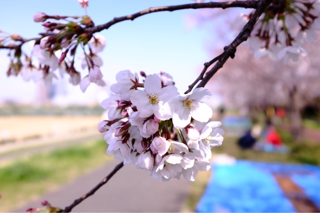 f:id:nnnaoki84:20150330065403j:plain f:id:nnnaoki84:20150330065403j:plain