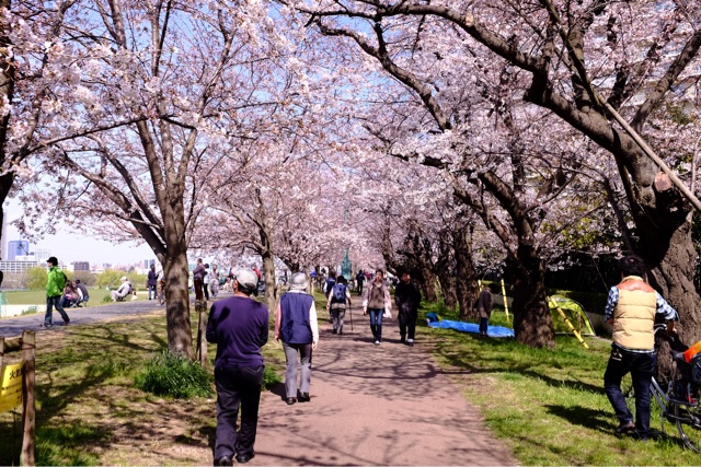 f:id:nnnaoki84:20150330065600j:plain f:id:nnnaoki84:20150330065600j:plain