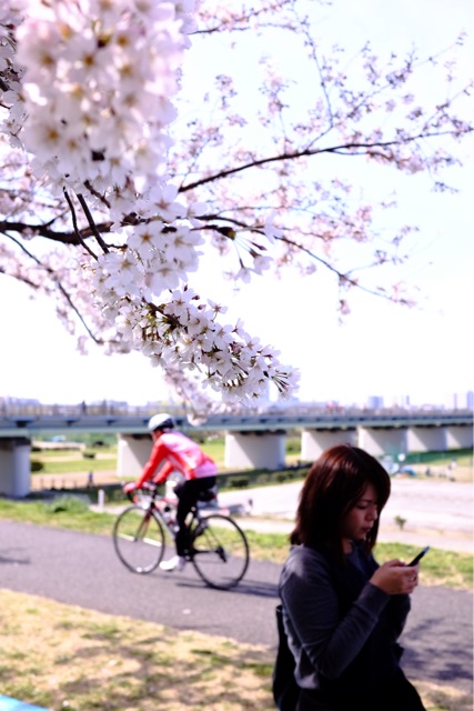 f:id:nnnaoki84:20150330065638j:plain f:id:nnnaoki84:20150330065638j:plain