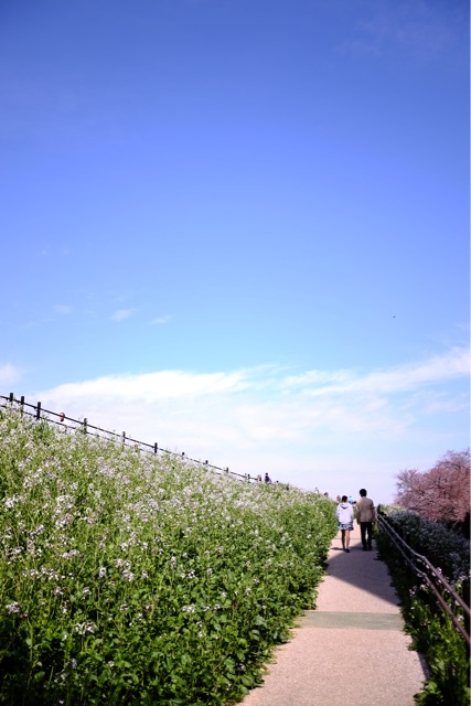 f:id:nnnaoki84:20150330070015j:plain f:id:nnnaoki84:20150330070015j:plain