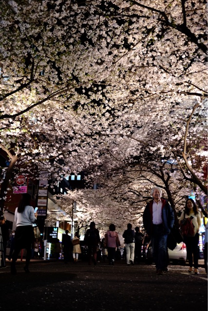 f:id:nnnaoki84:20150401062448j:plain f:id:nnnaoki84:20150401062448j:plain