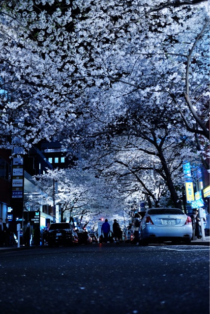 f:id:nnnaoki84:20150401062918j:plain f:id:nnnaoki84:20150401062918j:plain