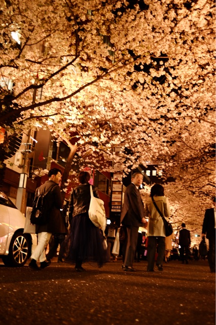 f:id:nnnaoki84:20150401063125j:plain f:id:nnnaoki84:20150401063125j:plain