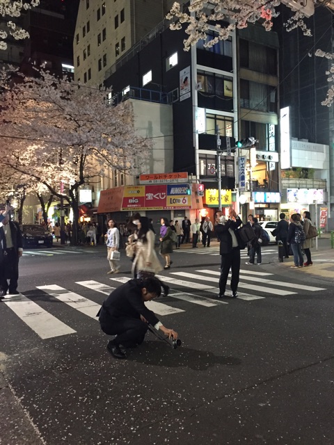f:id:nnnaoki84:20150401063156j:plain f:id:nnnaoki84:20150401063156j:plain