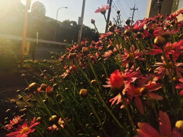 f:id:nnnaoki84:20150406215957j:plain f:id:nnnaoki84:20150406215957j:plain