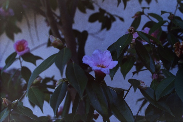 f:id:nnnaoki84:20150416123103j:plain f:id:nnnaoki84:20150416123103j:plain