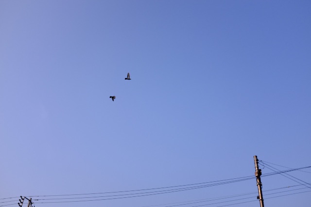 f:id:nnnaoki84:20150426061505j:image f:id:nnnaoki84:20150426061505j:image