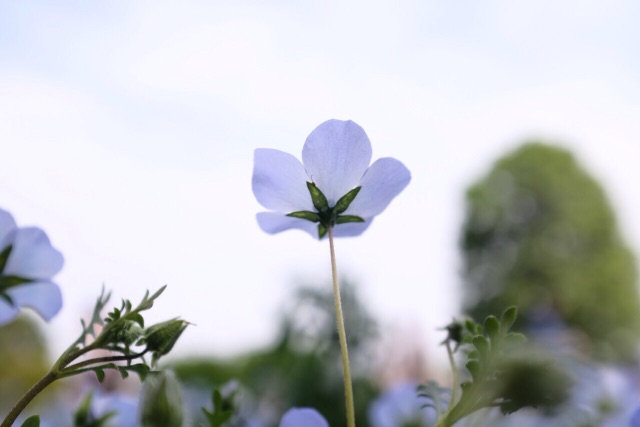 f:id:nnnaoki84:20150430113929j:image f:id:nnnaoki84:20150430113929j:image