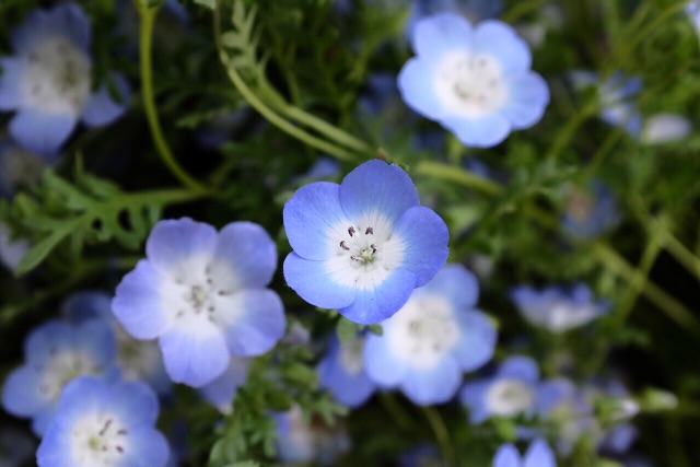 f:id:nnnaoki84:20150430113954j:image f:id:nnnaoki84:20150430113954j:image