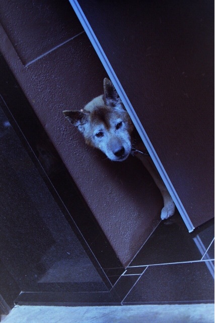 f:id:nnnaoki84:20150509091410j:image f:id:nnnaoki84:20150509091410j:image